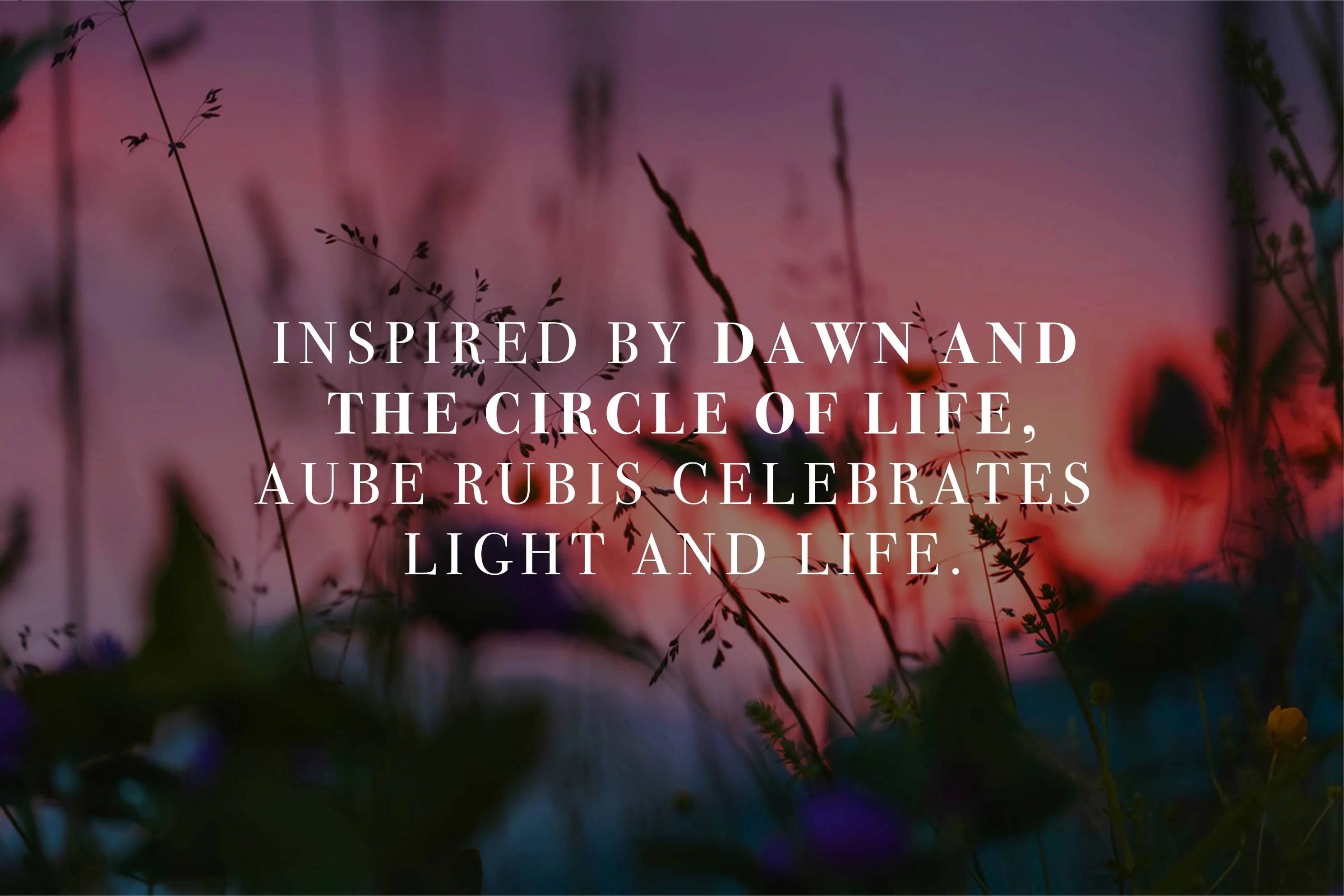 AUBE RUBIS EDP - Image 3