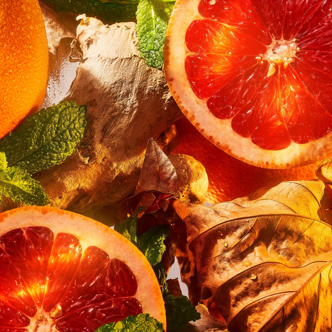 BURLINGTON 1819 - Image 4